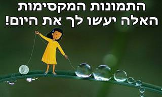 16 צילומי מאקרו של פרחים וטבע עם איורים מקסימים