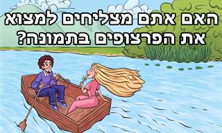 אתגר ראייה: האם תמצאו את הפרצופים המסתתרים?