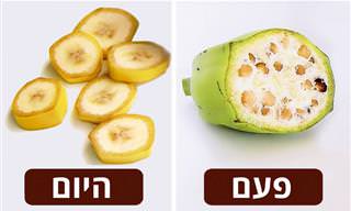 איך נראו הפירות והירקות שאנו אוכלים לפני שבייתנו אותם?