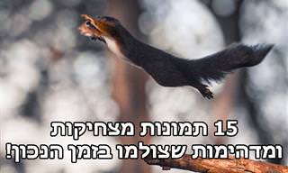 15 תמונות מדהימות, מבלבלות ומצחיקות שצלומו בתזמון מושלם