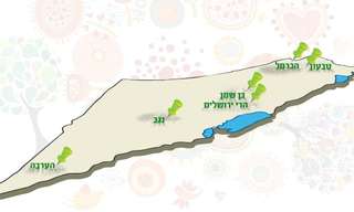 ארץ ירוקה - אתגר נחמד לכבוד החג!