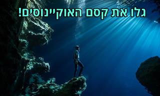 14 תמונות מתחרות צילום האוקיינוס לשנת 2020