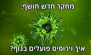 מחקר חדש על הדרך שבה וירוסים פועלים בגוף