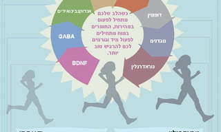 כיצד קצת כושר יכול לגרום לנו להרבה אושר