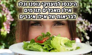 מפה אינטראקטיבית של הגוף: אוסף כתבות על מאכלים המסייעים לשמירת בריאות איברי גופנו