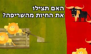 הצלת החיות מהשריפה - חידת היגיון