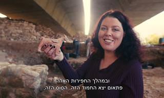 מאחורי הקלעים של התגליות הארכיאולוגיות בירושלים