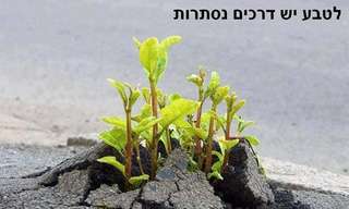 כמה סיבות מדוע הטבע מושלם - מקסים!