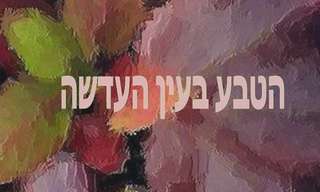 הטבע בעין המצלמה הפולנית