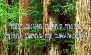משפטים אמיתיים וחכמים לחיים
