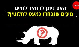 הפתרון שהציל את הקרנף הלבן הצפוני - ויכול להציל עוד בעלי חיים בסכנת הכחדה