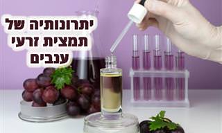 9 יתרונותיה של תמצית זרעי ענבים, ומחקר שחשף עוד יתרון פוטנציאלי אדיר שלה