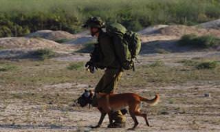 סרטון תיעודי על הקמתה של יחידת הכלבנים 