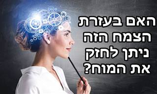 מחקרים מדעיים חושפים את הקשר בין רוזמרין לתפקוד המוח והזיכרון?