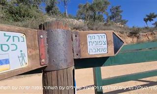 סרטון טיול במסלול מעגלי מומלץ בהרי ירושלים