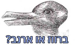 עד כמה המוח שלך רגיש לאשליות אופטיות?