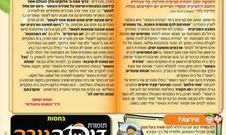 פרשת השבוע - אמור