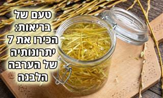 יתרונותיה הבריאותיים של הערבה הלבנה