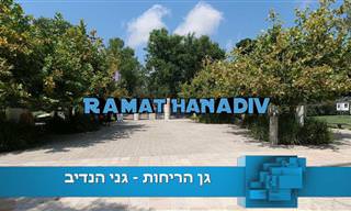 הכירו את גן הריחות - יפהפה ומונגש לכבדי ראייה
