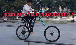 17 תמונות נהדרות שצולמו בתזמון מושלם ועשו לנו את היום!