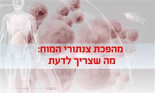 צנתור מוח – כל מה שצריך לדעת על הטיפול המהפכני