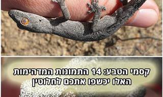 14 התמונות האלו יוכיחו לכם שהטבע הוא ה