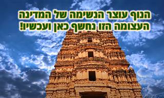 הודו המדהימה: צפו בנופים היוצאים מן הכלל של המדינה העצומה הזו