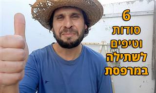 6 טיפים חשובים לגינון במרפסת, לפי איש מקצוע