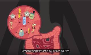 סרטון המסביר כיצד המזון שאנו אוכלים משפיע על המעיים שלנו