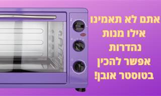 6 מתכונים שמתאימים לבישול ואפייה בטוסטר אובן