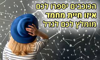 איזו חיית מחמד מומלצת עבורכם על פי המזל האסטרולוגי שלכם