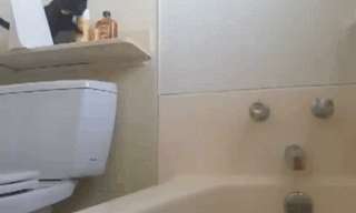 פדיחות אלגנטיות בממלכת החיות