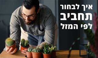מה התחביב שמתאים לכם לפי המזל שלכם