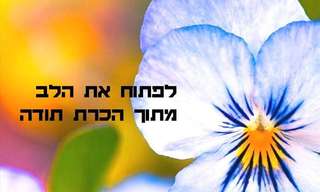 10 משפטים יפים על כוחה של הכרת תודה!