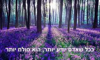 השראות קטנות: אוסף מקסים!