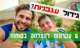 6 טיפים מנצחים שיעזרו לכם לגדל עגבניות בגינה או בחצר