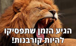 8 צעדים שעוזרים להיפטר מהרגשה של קורבנות תמידיים ולשפר את החיים