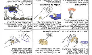 12 שימושים מפתיעים בתפוח אדמה