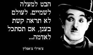 גלויות מלאות השראה וטעם טוב!