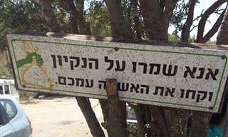 אלו הדברים המצחיקים שקורים כשמורידים אות אחת קטנה...