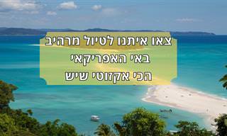 מפה אינטראקטיבית של מדגסקר