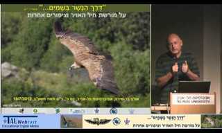 כיצד הוקמה יחידת הקומנדו שלדג? מרתק!
