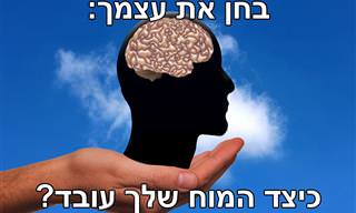 בחן את עצמך: כיצד המוח שלך עובד?