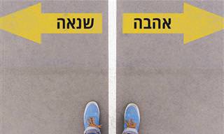 8 סיבות לאהוב את 