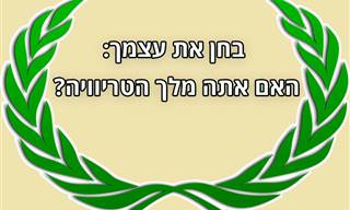 בחן את עצמך: האם אתה מלך הטריוויה?