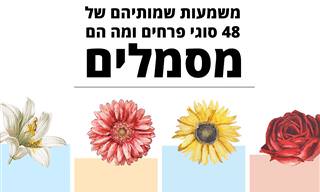משמעות שמותיהם של 48 פרחים ומה הם מסמלים