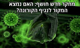 מחקר חדש לגבי הקשר בין התחממות גלובלית להתפרצות מגפת הקורונה