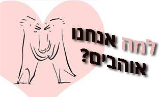 מהי הסיבה האמיתית לרגש הנפלא ביותר בעולם - האהבה?