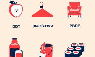רעלנים מסוכנים להתפתחות המוח