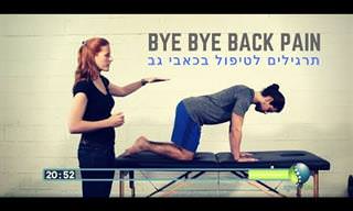 אימון אינטרנטי מקיף עבור טיפול בכאבי גב ומניעת גב תפוס בליווי פיזיותרפיסטית מוסמכת